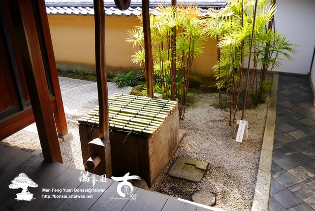 滿峯園古美樹龍源院