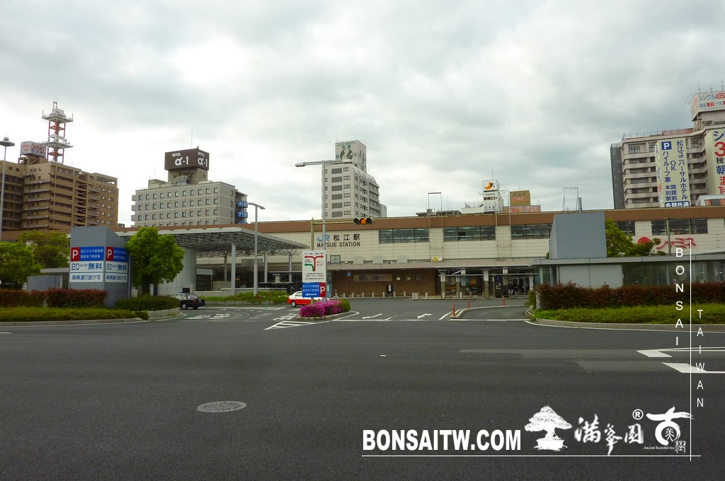 P1500950 [日本庭園]庭園日本一．足立美術館(1) 盆栽樂趣(Travel)