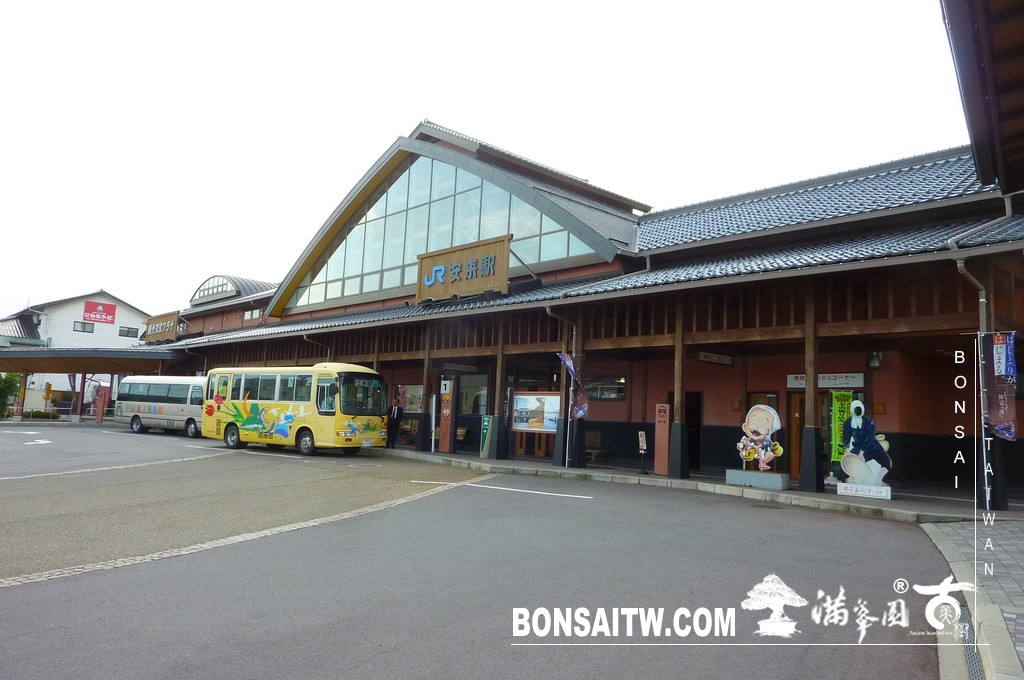 P1500957 [日本庭園]庭園日本一．足立美術館(1) 盆栽樂趣(Travel)