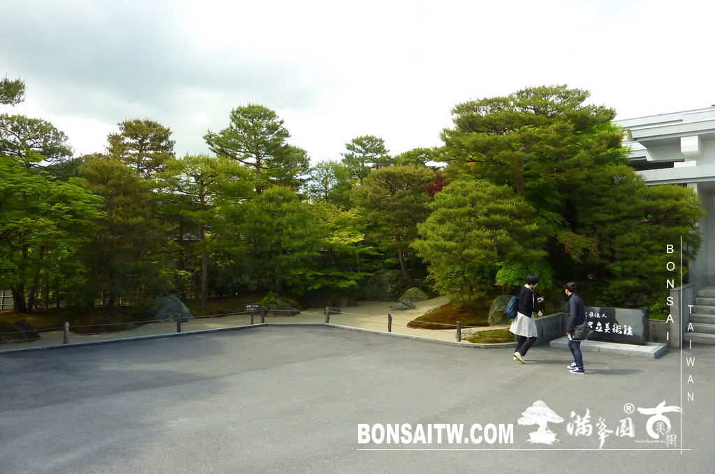 P1500980 [日本庭園]庭園日本一．足立美術館(1) 盆栽樂趣(Travel)
