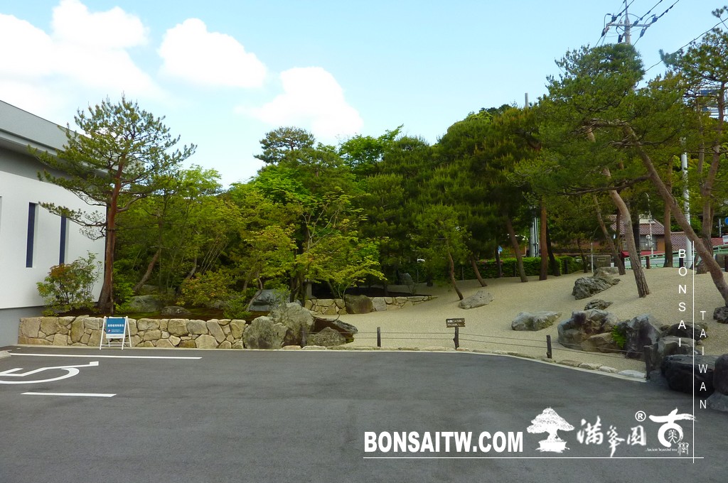 P1500984 [日本庭園]庭園日本一．足立美術館(1) 盆栽樂趣(Travel)