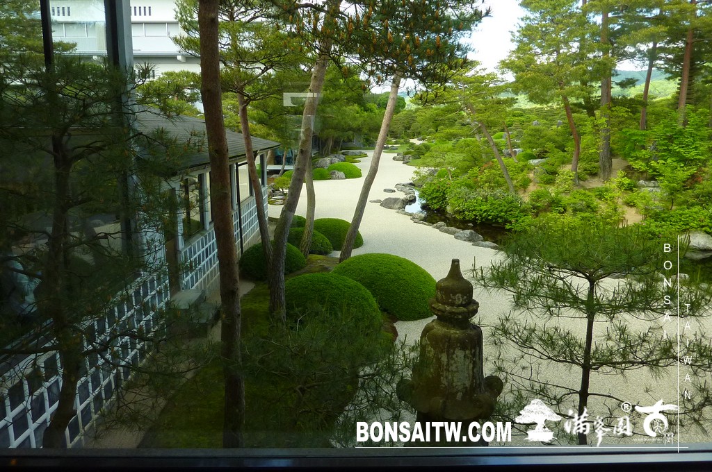 P1500997 [日本庭園]庭園日本一．足立美術館(1) 盆栽樂趣(Travel)