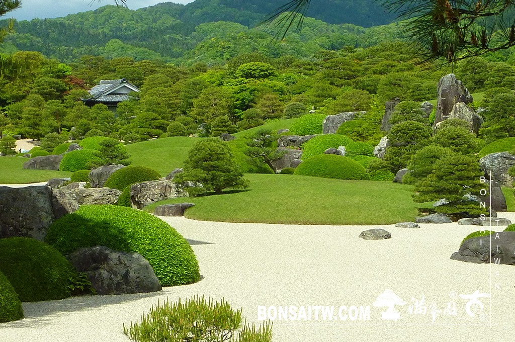 P1510020 [日本庭園]庭園日本一．足立美術館(1) 盆栽樂趣(Travel)