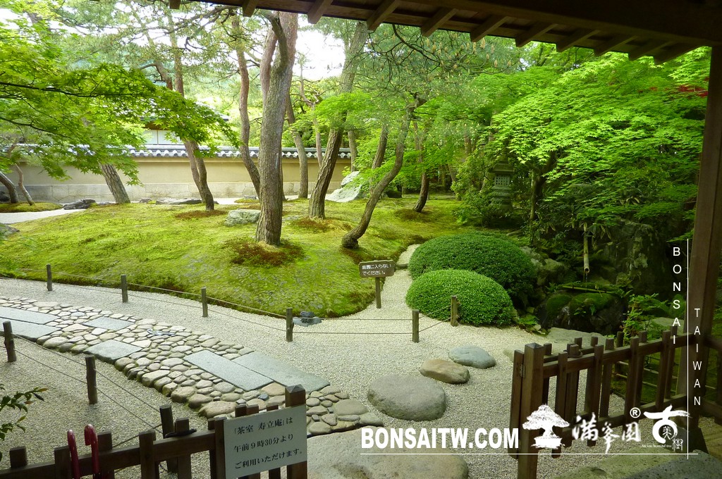 P1510027 [日本庭園]庭園日本一．足立美術館(1) 盆栽樂趣(Travel)