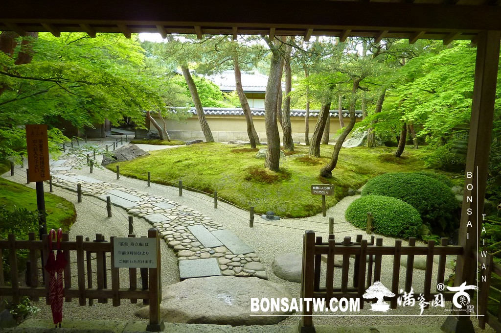 P1510029 [日本庭園]庭園日本一．足立美術館(1) 盆栽樂趣(Travel)