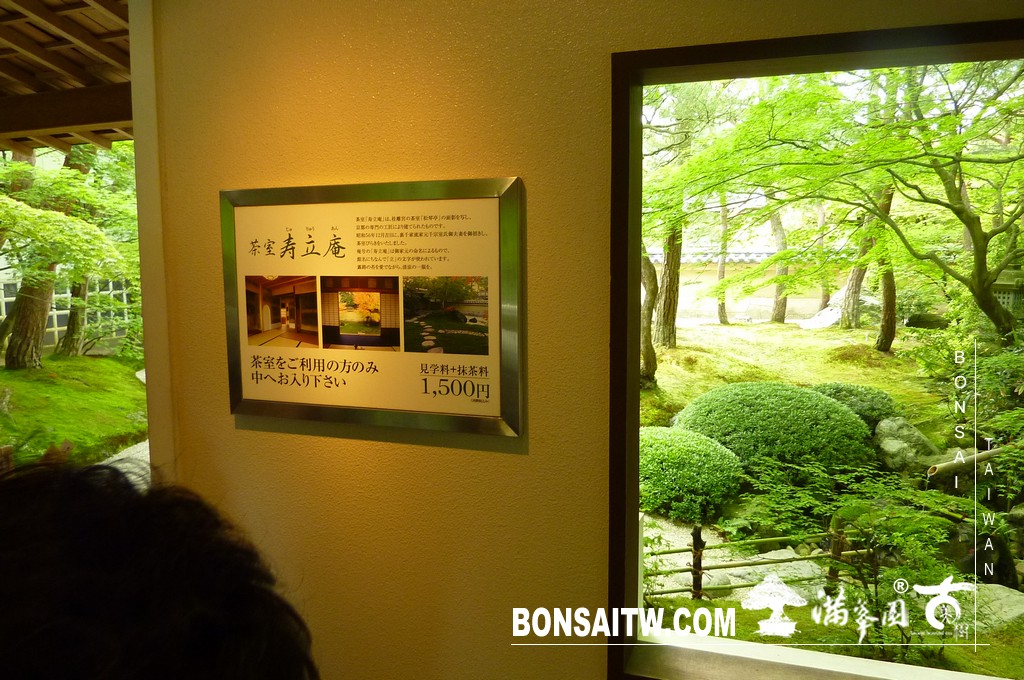 P1510049 [日本庭園]庭園日本一．足立美術館(1) 盆栽樂趣(Travel)