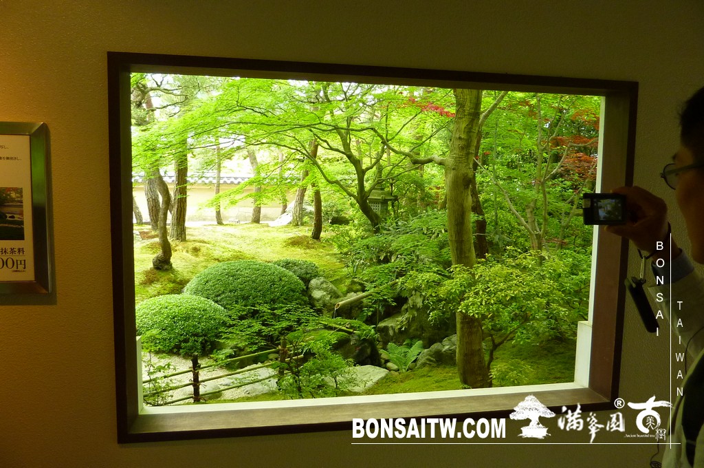 P1510052 [日本庭園]庭園日本一．足立美術館(1) 盆栽樂趣(Travel)