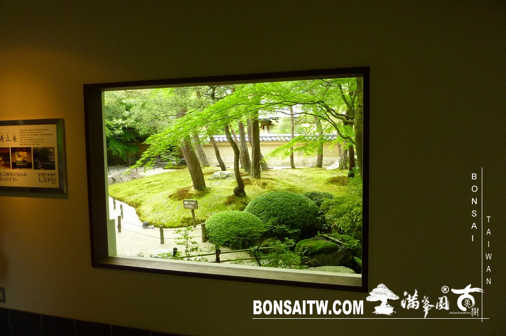 P1510055 [日本庭園]庭園日本一．足立美術館(1) 盆栽樂趣(Travel)