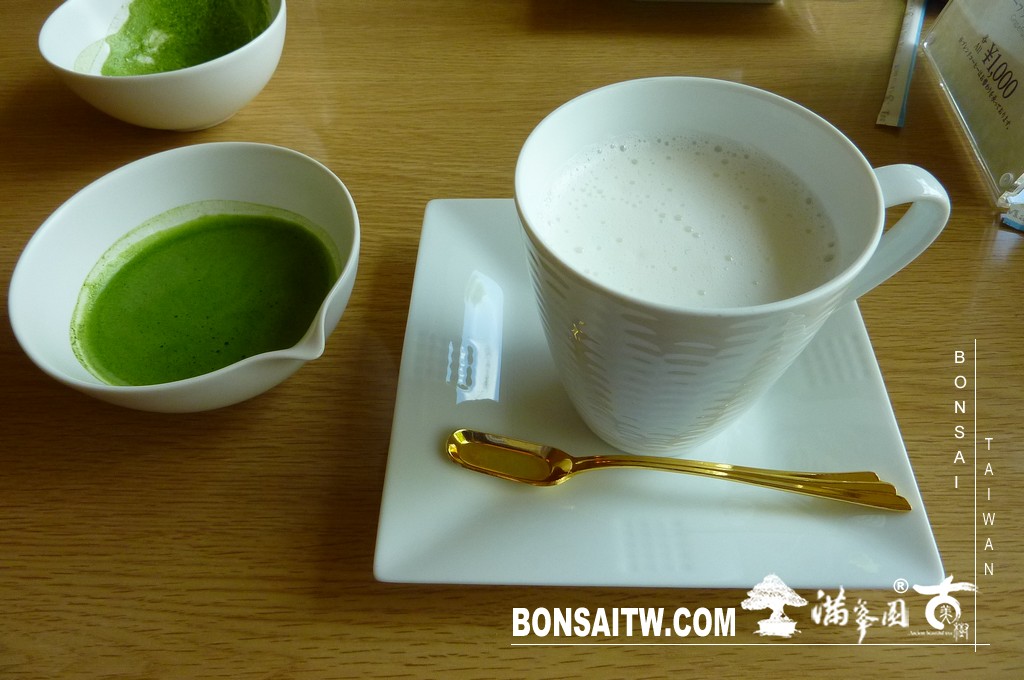 P1510140 [日本庭園]庭園日本一．足立美術館(2) 日本庭園(Japanese Garden)