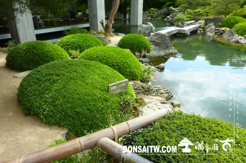 P1510223 [日本庭園]庭園日本一．足立美術館(3) 盆栽樂趣(Travel)