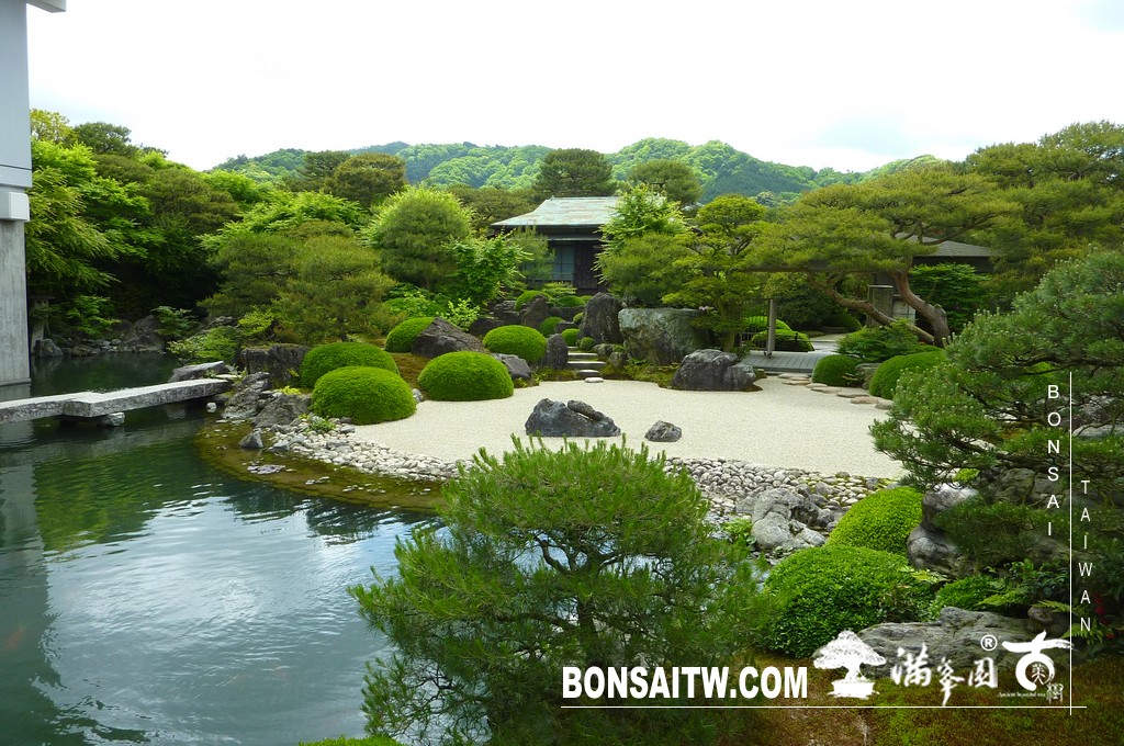 P1510233 [日本庭園]庭園日本一．足立美術館(3) 盆栽樂趣(Travel)