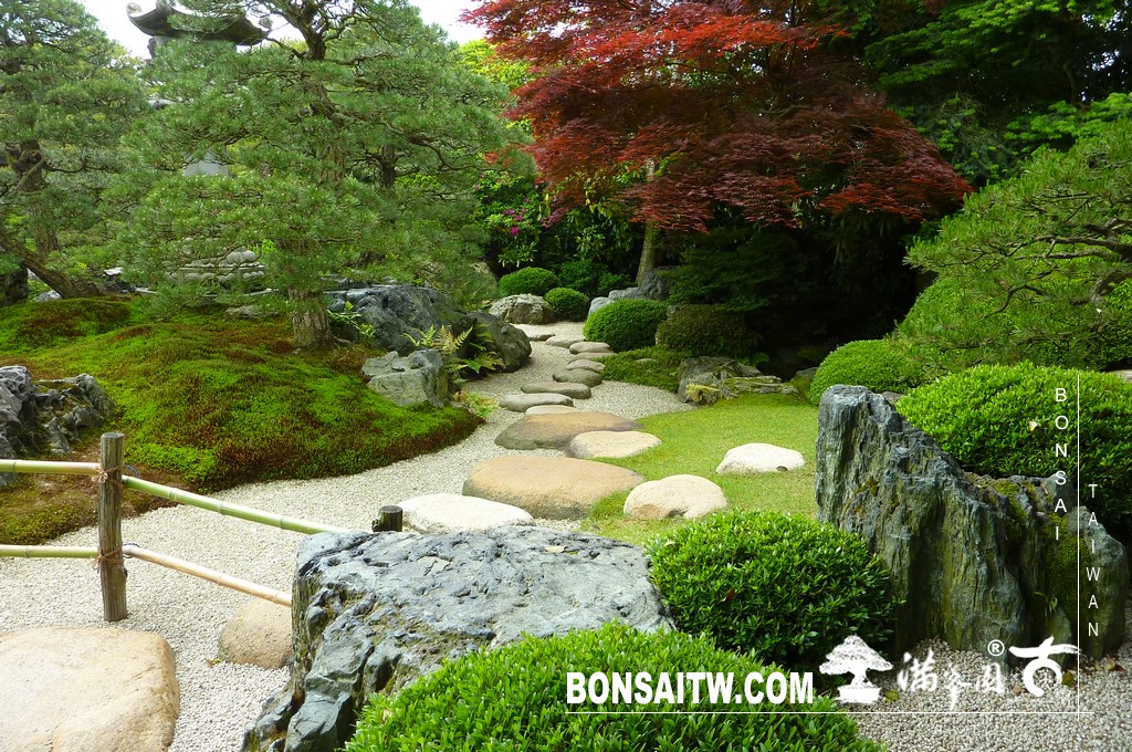 P1510239 [日本庭園]庭園日本一．足立美術館(3) 盆栽樂趣(Travel)