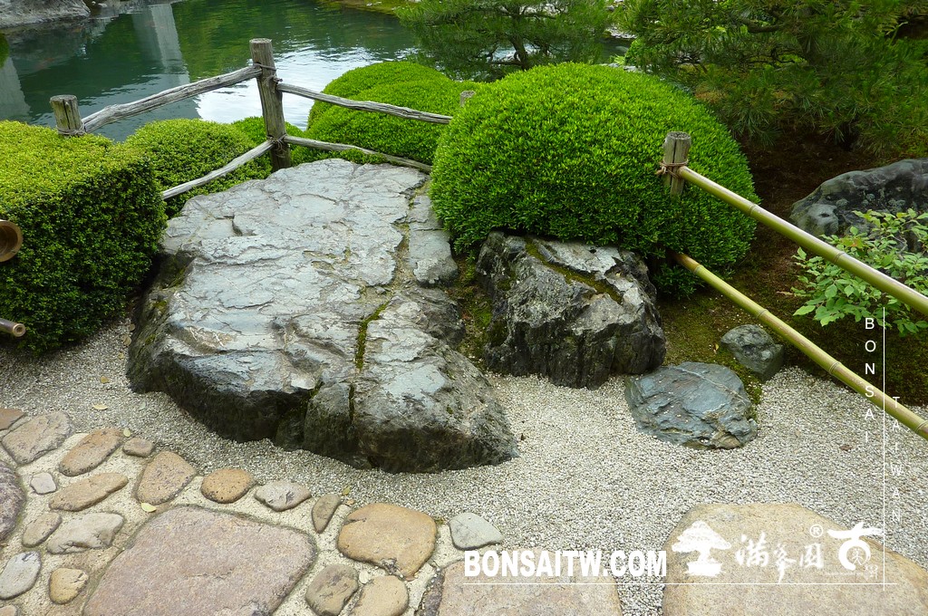 P1510251 [日本庭園]庭園日本一．足立美術館(3) 盆栽樂趣(Travel)