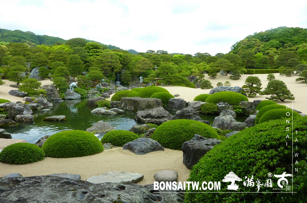 P1510282 [日本庭園]庭園日本一．足立美術館(3) 盆栽樂趣(Travel)