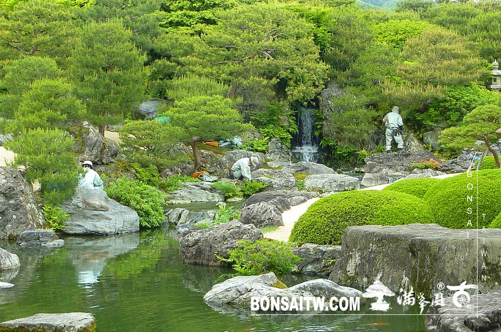P1510287 [日本庭園]庭園日本一．足立美術館(3) 盆栽樂趣(Travel)