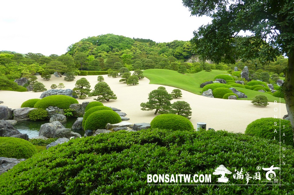 P1510295 [日本庭園]庭園日本一．足立美術館(3) 盆栽樂趣(Travel)