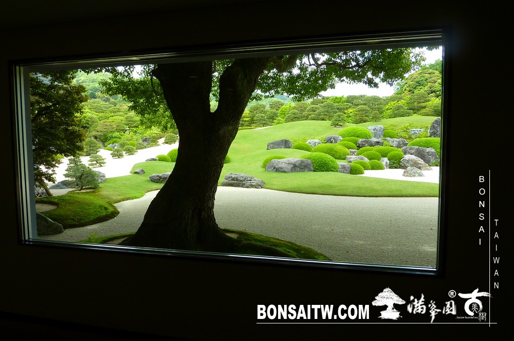 P1510358 [日本庭園]庭園日本一．足立美術館(4) 盆栽樂趣(Travel)