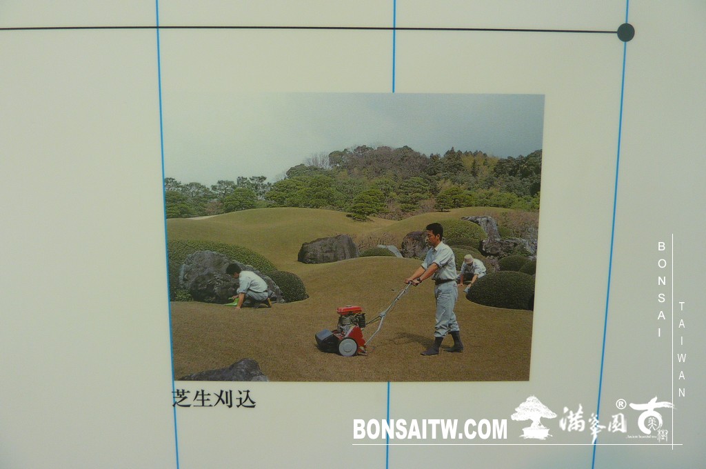 P1510420 [日本庭園]庭園日本一．足立美術館(4) 盆栽樂趣(Travel)