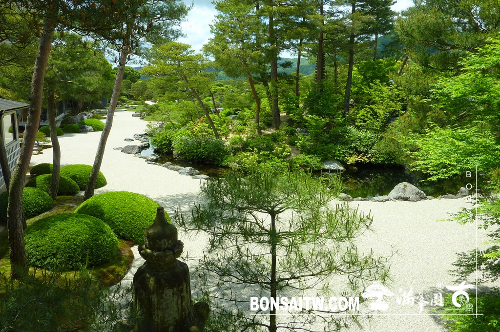 P1510468 [日本庭園]庭園日本一．足立美術館(4) 盆栽樂趣(Travel)