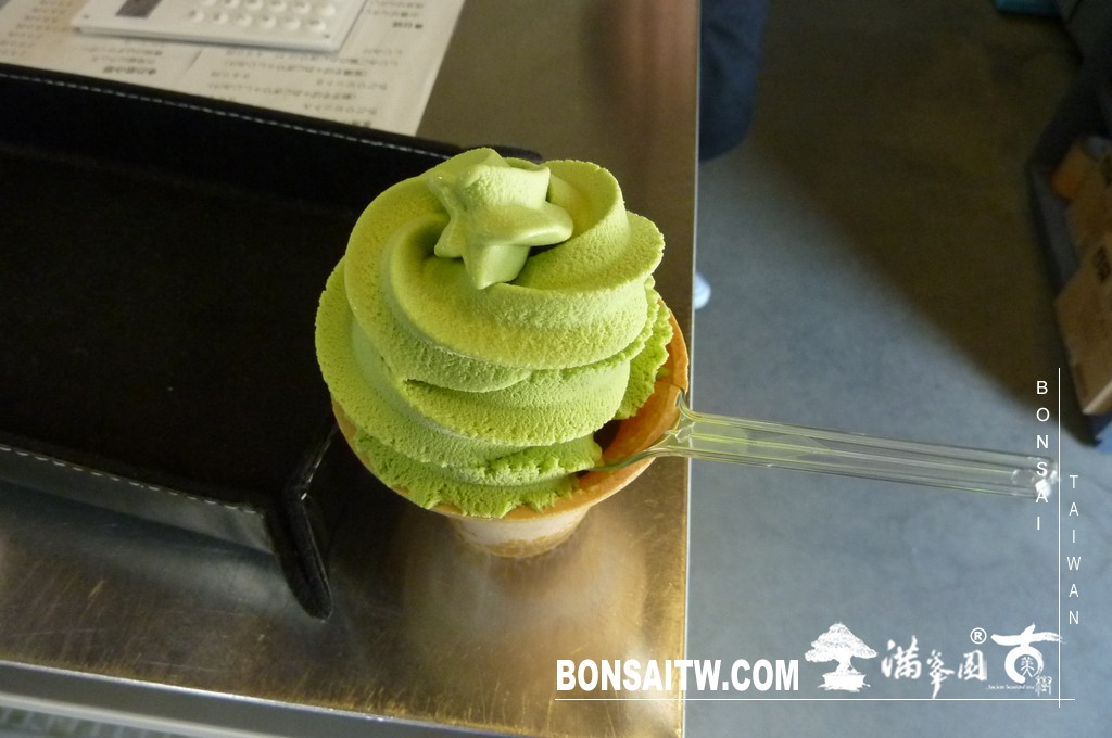 P1510567 [日本庭園]古城．松江城(2) 盆栽樂趣(Travel)