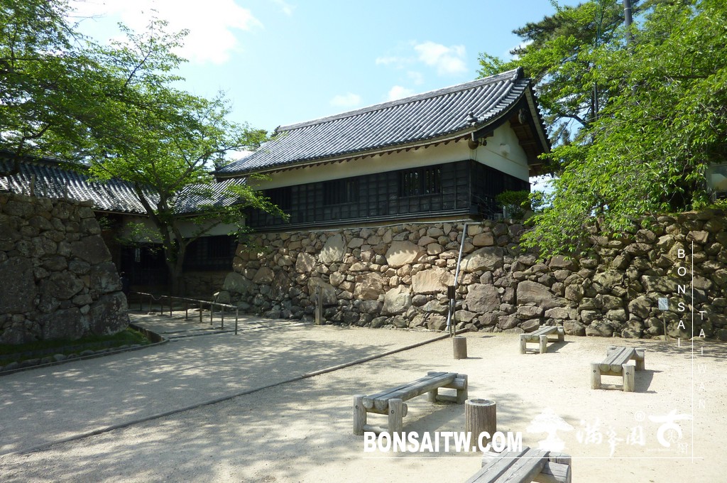 P1510614 [日本庭園]古城．松江城(2) 盆栽樂趣(Travel)