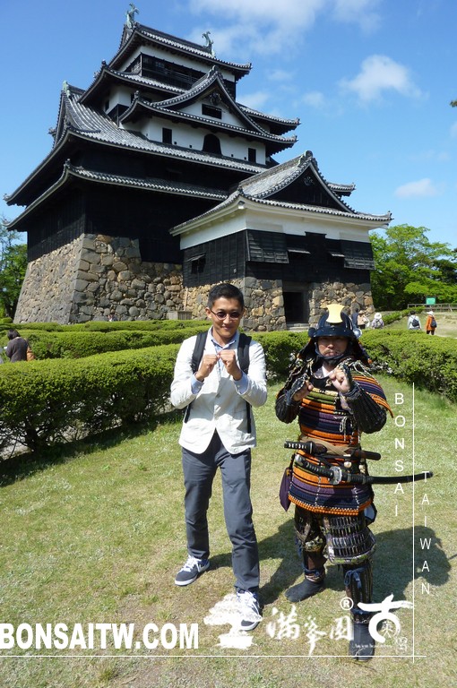 P1510618 [日本庭園]古城．松江城(2) 盆栽樂趣(Travel)