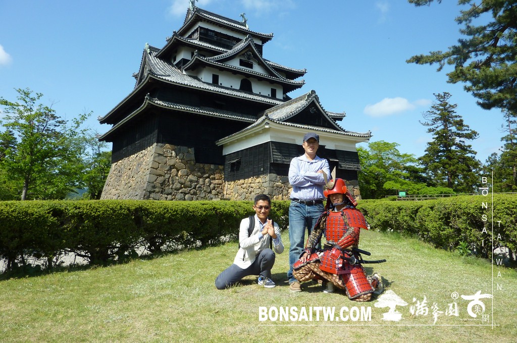 P1510628 [日本庭園]古城．松江城(2) 盆栽樂趣(Travel)