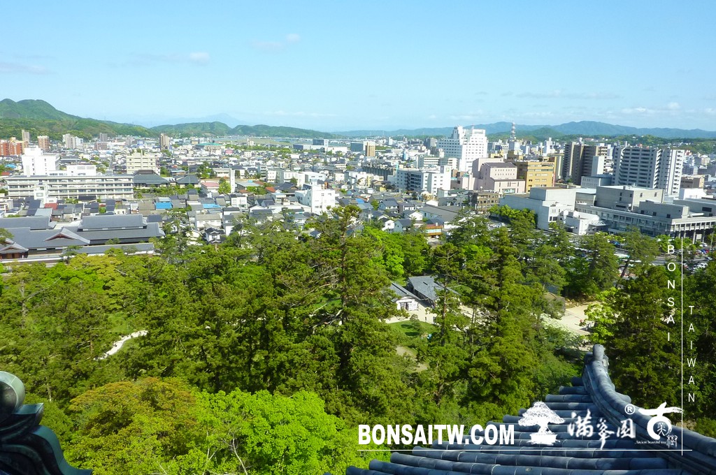 P1510737 [日本庭園]古城．松江城(3) 日本庭園(Japanese Garden)