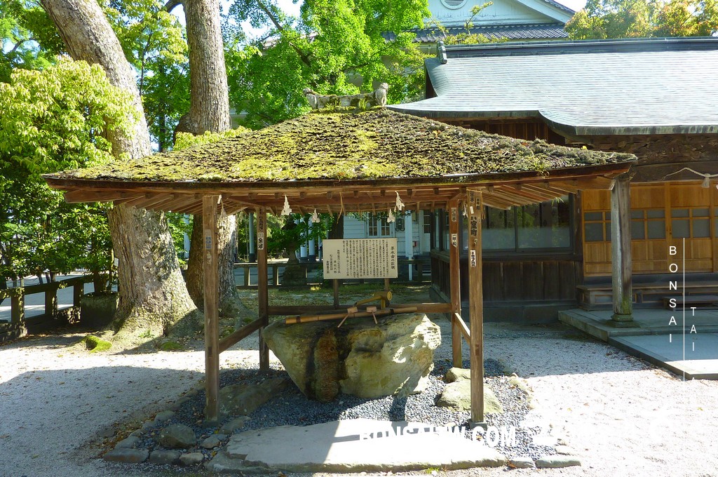 P1510779 [日本庭園]古城．松江城(3) 日本庭園(Japanese Garden)