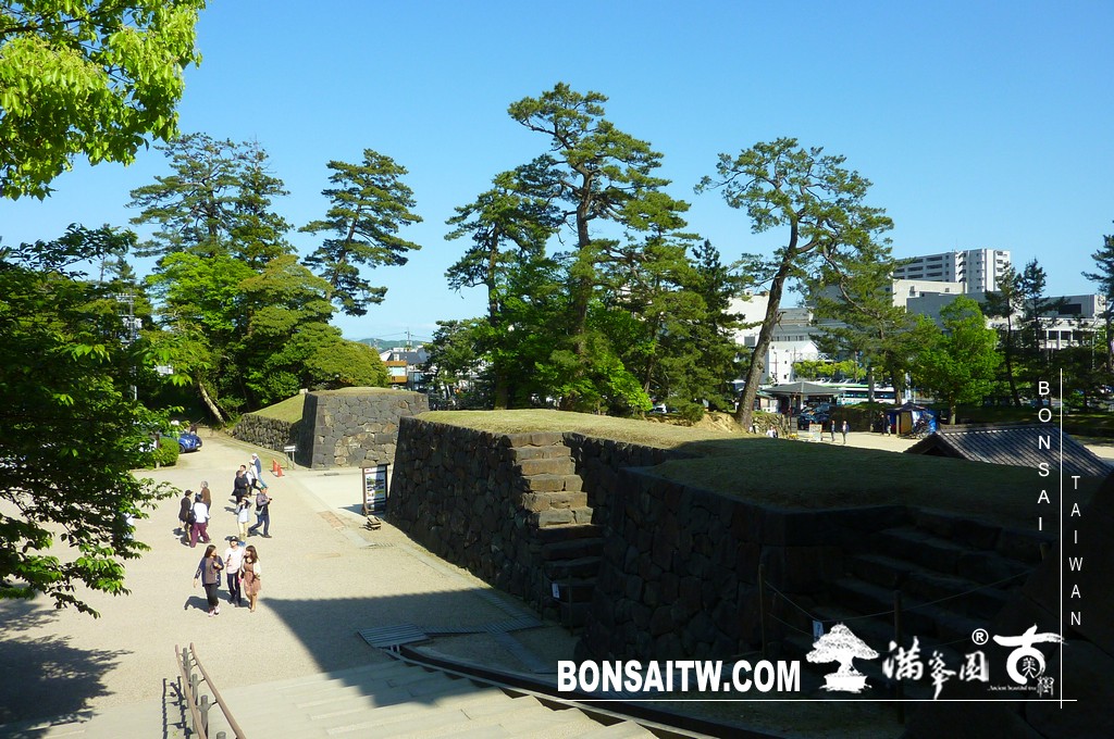 P1510795 [日本庭園]古城．松江城(3) 日本庭園(Japanese Garden)