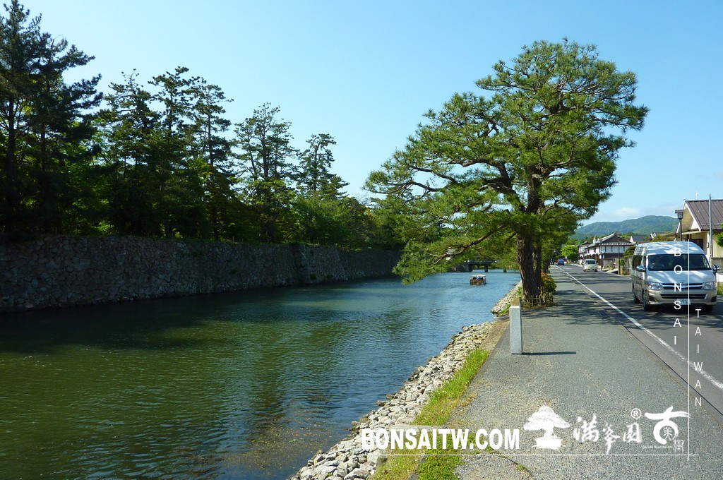 P1510805 [日本庭園]古城．松江城(3) 日本庭園(Japanese Garden)