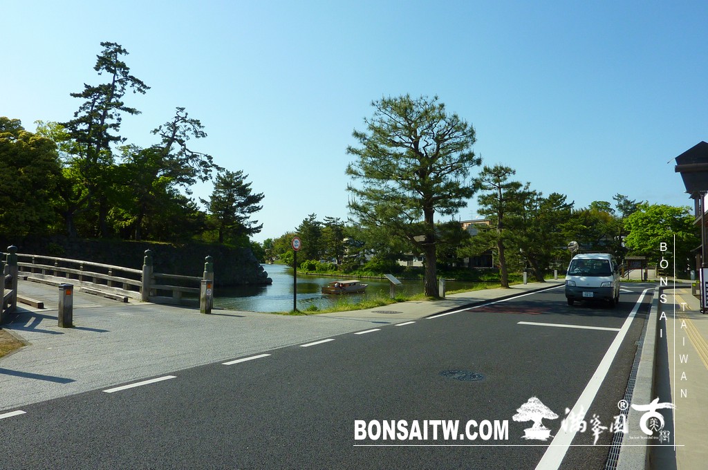 P1510822 [日本庭園]松江歷史館(1) 盆栽樂趣(Travel)