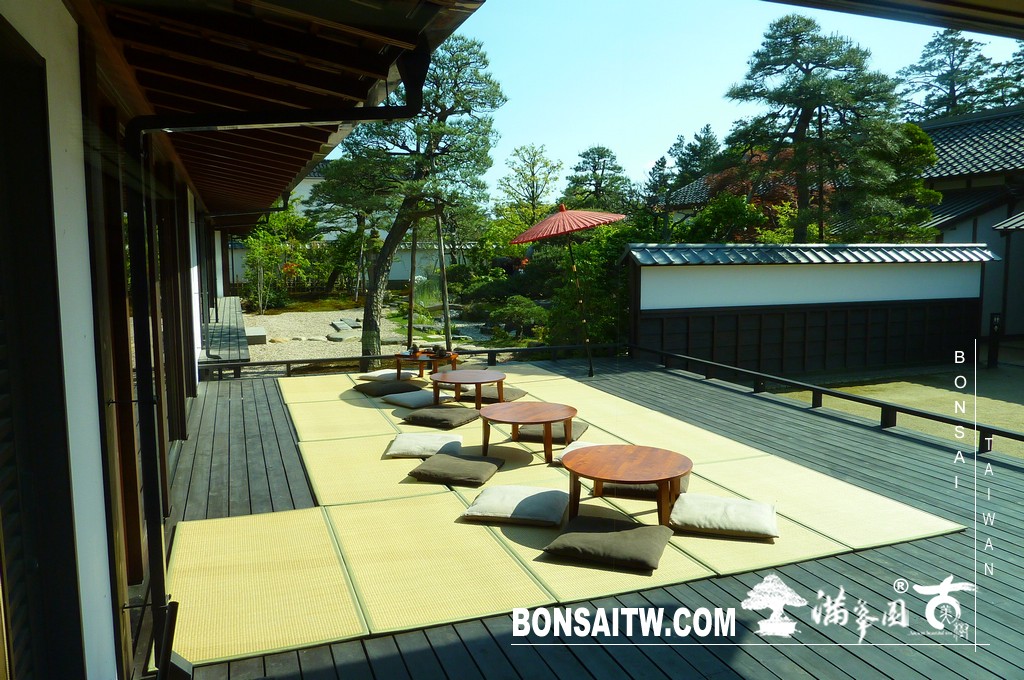 P1510848 [日本庭園]松江歷史館(1) 盆栽樂趣(Travel)