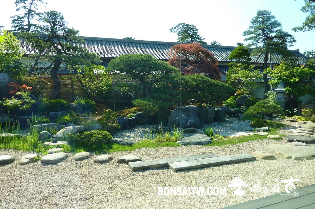 P1510857 [日本庭園]松江歷史館(1) 盆栽樂趣(Travel)