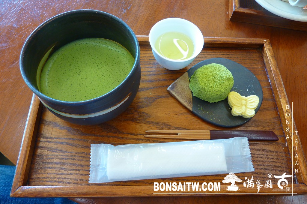 P1510868 [日本庭園]松江歷史館(1) 盆栽樂趣(Travel)