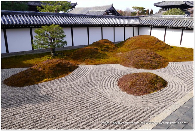 P1030688 日本名庭~東福寺「八相之庭」