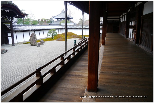 P1030748 日本名庭~東福寺「八相之庭」