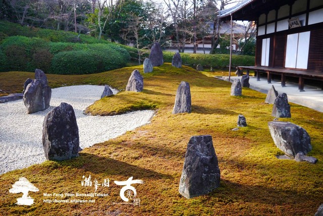 古美樹滿峯園日本庭園