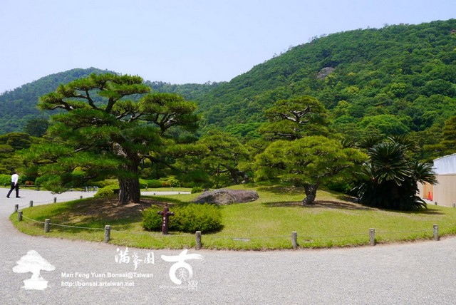 古美樹滿峯園日本庭園