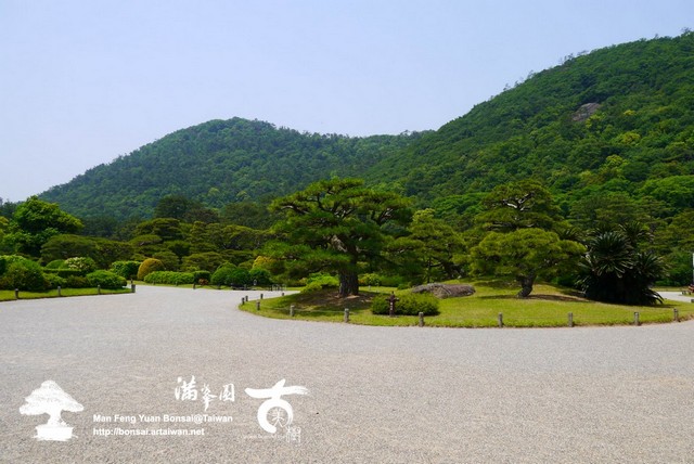 古美樹滿峯園日本庭園