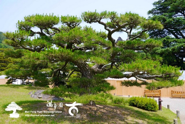 古美樹滿峯園日本庭園