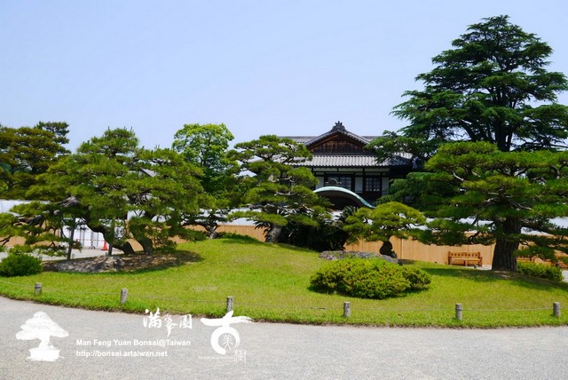 古美樹滿峯園日本庭園