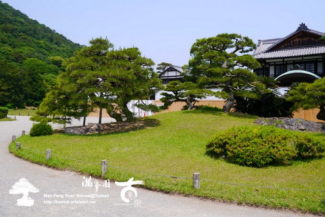 古美樹滿峯園日本庭園