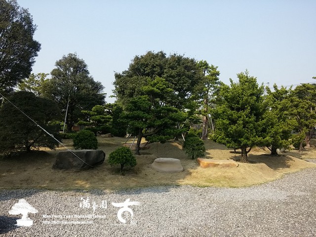古美樹滿峯園羅漢松庭園造景