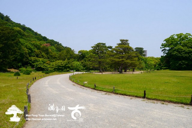 古美樹滿峯園日本庭園