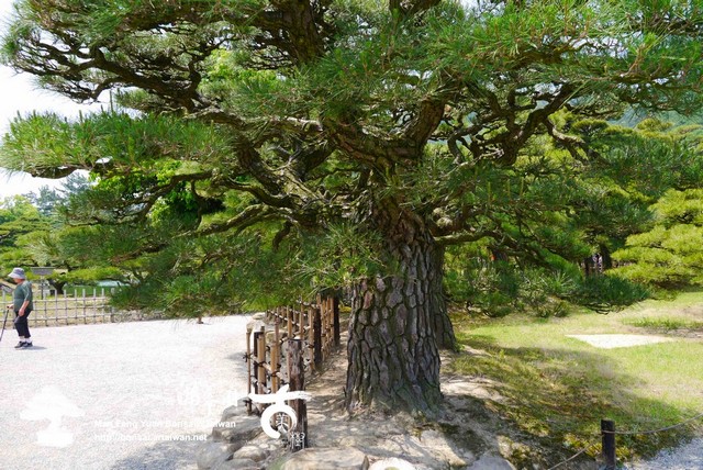 古美樹滿峯園日本庭園