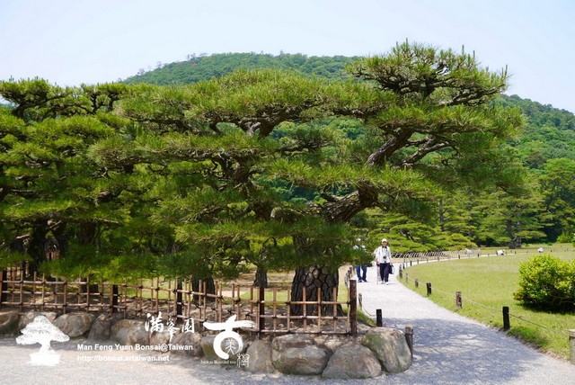 古美樹滿峯園日本庭園