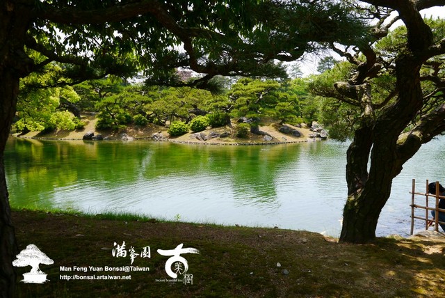 古美樹滿峯園日本庭園