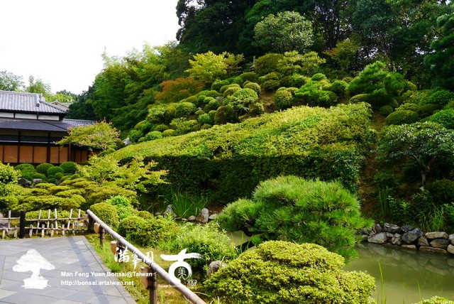 古美樹滿峯園日本庭園