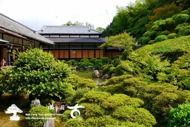 古美樹滿峯園日本庭園